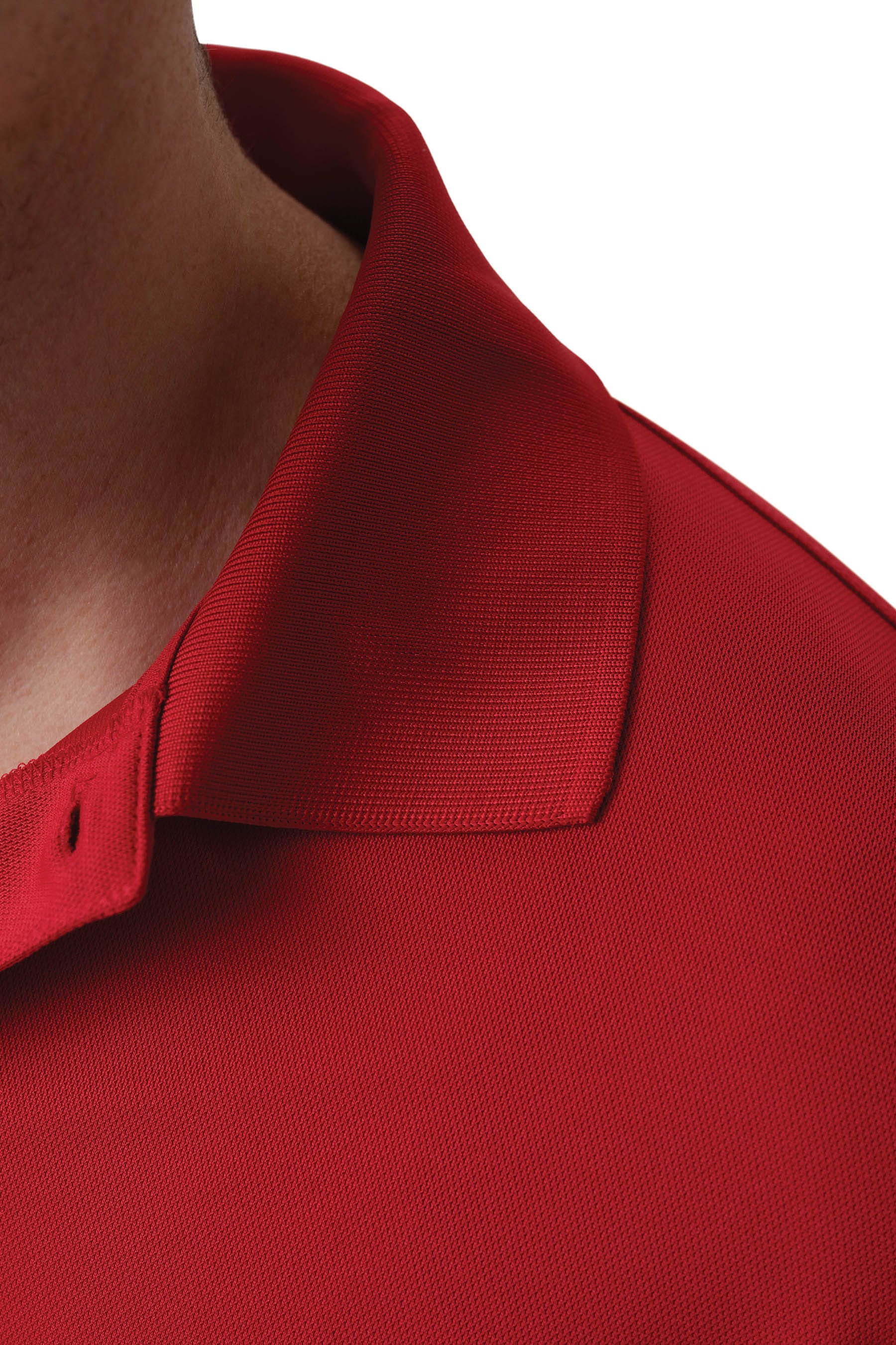 Men Collared Polo Shirt